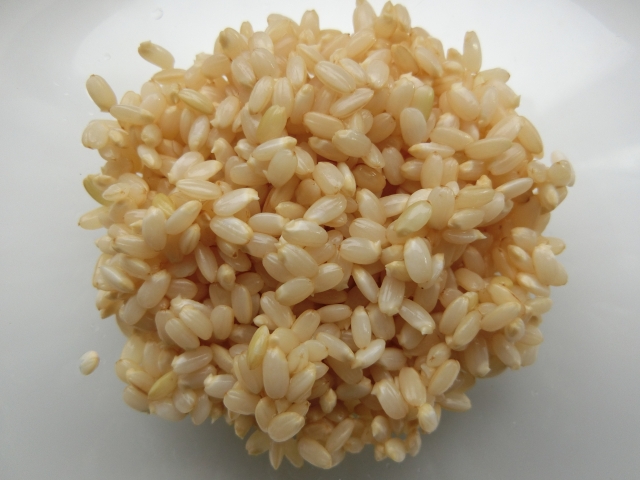 玄米と発芽玄米の違いは？発芽玄米は玄米より栄養価が高い？