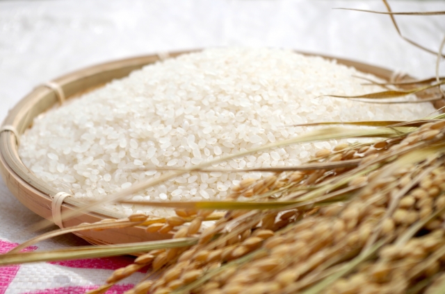 健康に良い「分づき米」とは？精米方法によるメリットとは？