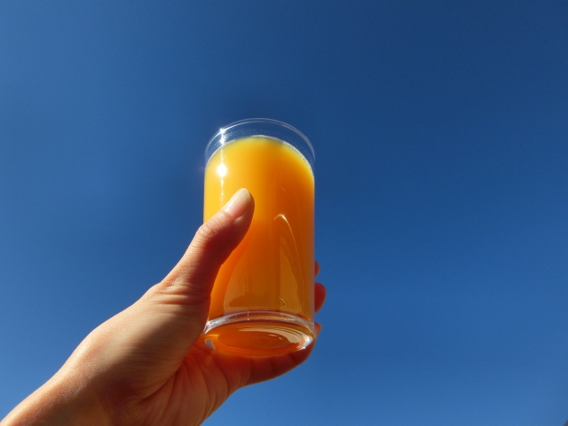 ミキサーを使ってフルーツジュース作り！オレンジの栄養効能
