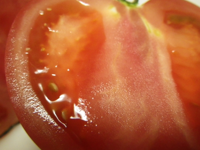 初心者でもできる！トマトを種から発芽させる為の適温って？