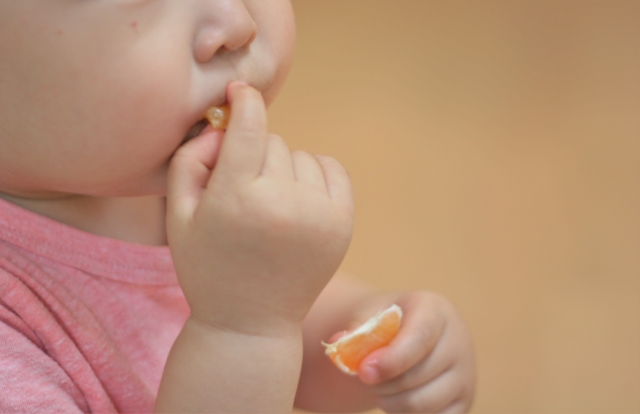 1歳半の子が食事を噛まずに丸飲み？噛まない原因と改善方法