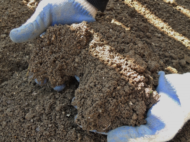 家庭菜園の土づくりで、畑にすき込む堆肥の量はどれくらい？