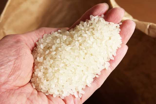 お米を農家から直接購入してみよう！そのメリットとは？