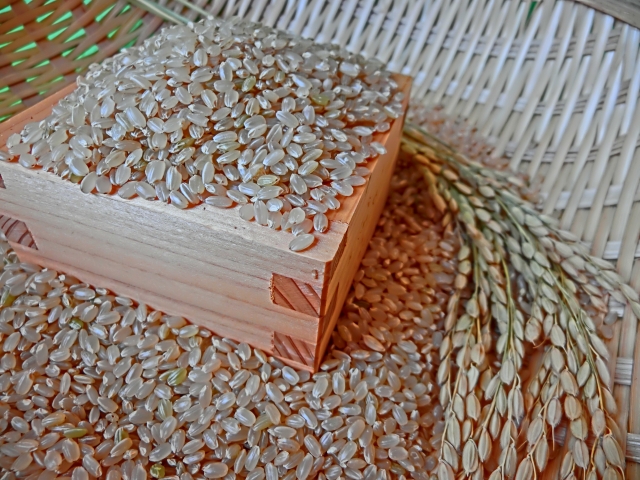 玄米のタンパク質の特徴や含有量と健康面との関係性とは？
