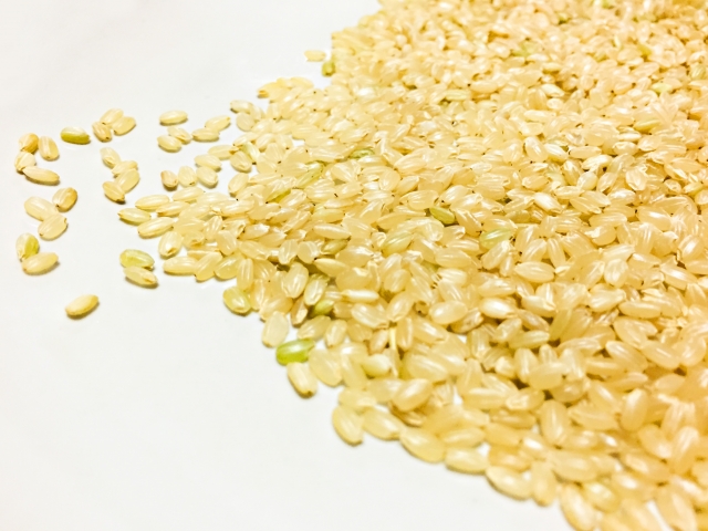 玄米餅の作り方が簡単にできる炊飯器のもち米モードを紹介