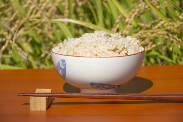 玄米？それとも3分づき米？栄養面ではどちらを食べるべき？