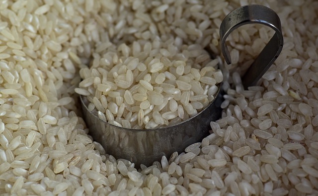 玄米は80gでも食べるべき食材？また糖質の体への影響は？